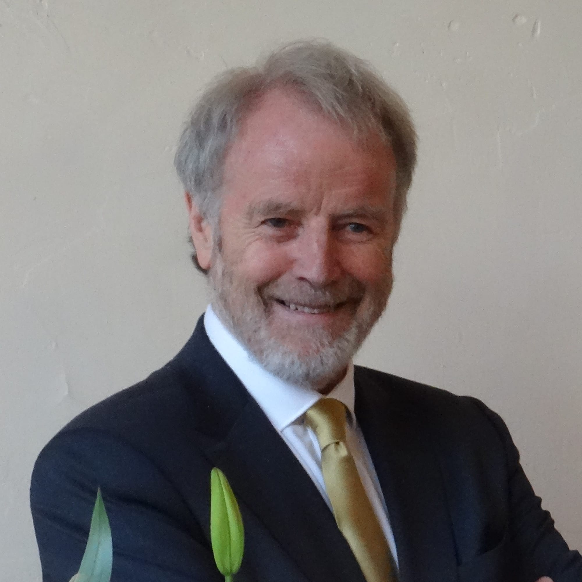 David Burrows